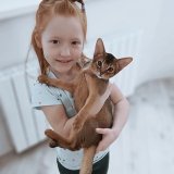 Абиссинская мама