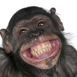 Анекдоты избранное🐒