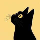 Кото|Логия