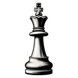 Шахматы♟