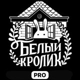 Портфолио, реклама, кастинги, детский КВН
