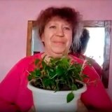 Живёт село