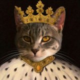 Котороль
