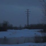 Монохромные дни