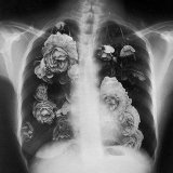 The soul of photography / Душа фотографии