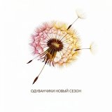 Одуванчики. Новый сезон.