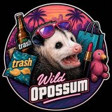 Wild Opossum