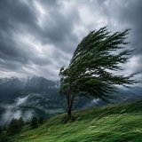 Windy Peak