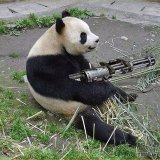 ЧВК “WWF”